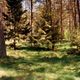 Illustration for article titled Can you spot the camouflaged snipers hiding in these photographs?